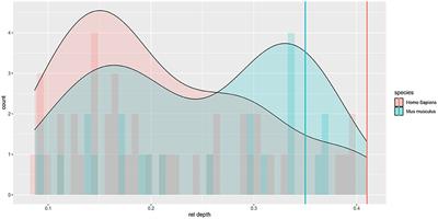 Comparing the Electrophysiology and Morphology of Human and Mouse Layer 2/3 Pyramidal Neurons With Bayesian Networks